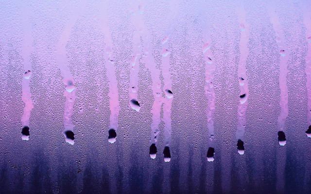 Water drops purple background city free wallpaper - medium preview image