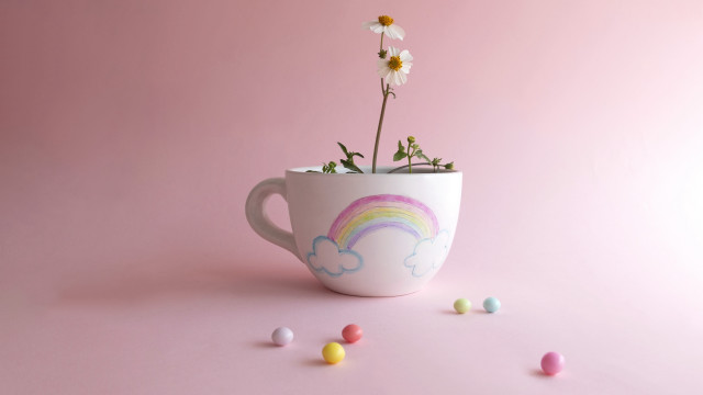 Cup flower candy rainbow naive #2 free wallpaper - medium preview image