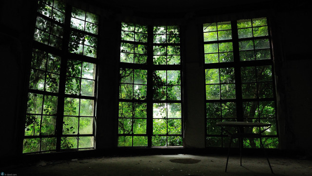 Room windows table chair trees free wallpaper - medium preview image