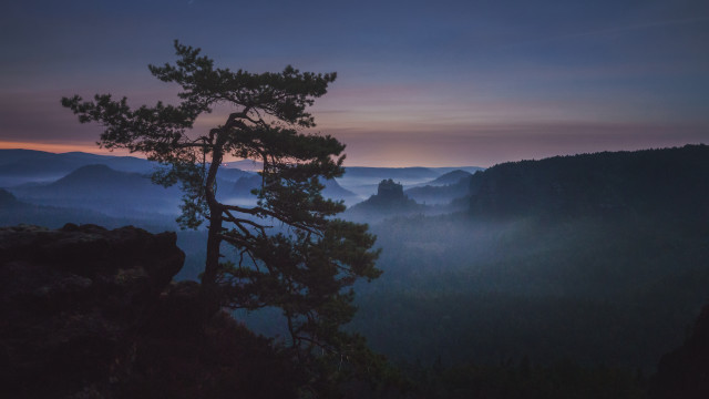 Mountain sunset tree lake clouds free wallpaper - medium preview image