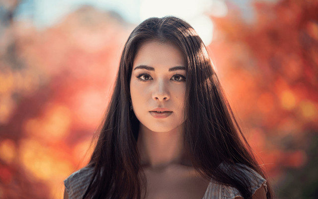 Woman long hair tree orange free wallpaper - medium preview image
