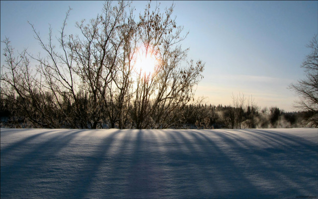 Snowfield trees sun blue sky free wallpaper - medium preview image