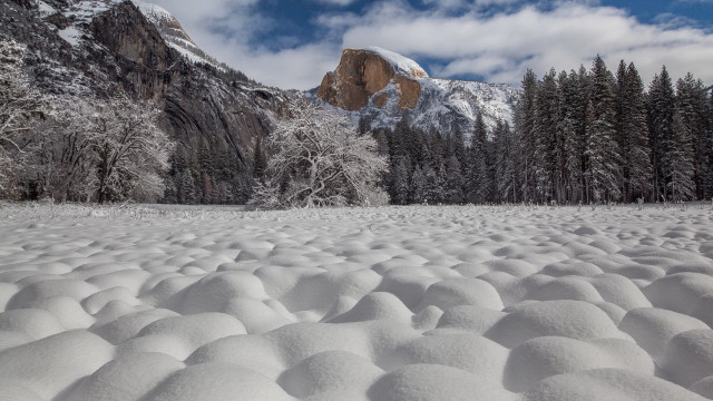 Snowy mountains forest lake rocks free wallpaper - medium preview image