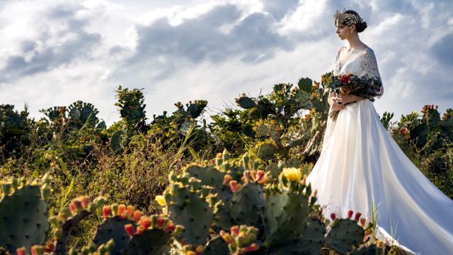 Wedding dress cactus field flower #2 free wallpaper - medium preview image
