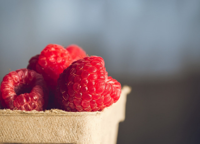 Raspberries still life food closeup free wallpaper - medium preview image
