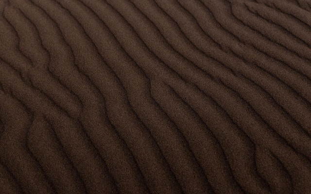 Sanddune bird brown background postminimalism free wallpaper - medium preview image