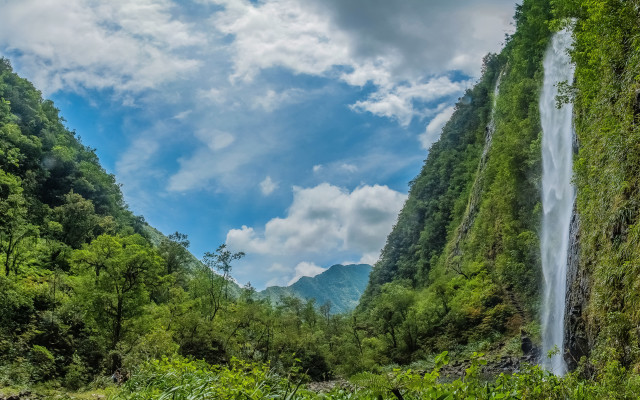 Waterfall green trees bushes sunny free wallpaper - medium preview image