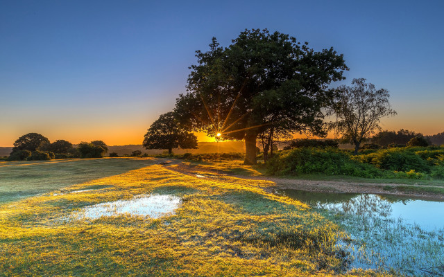 Sunset field tree pond grassland #2 free wallpaper - medium preview image