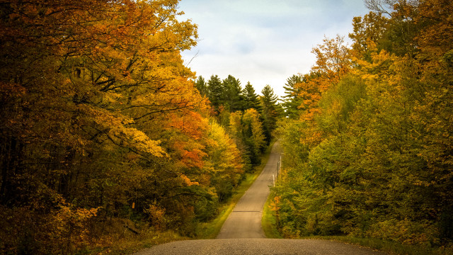 Autumn road trees leaves blue free wallpaper - medium preview image
