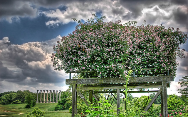 Wooden structure bush field cloudy free wallpaper - medium preview image