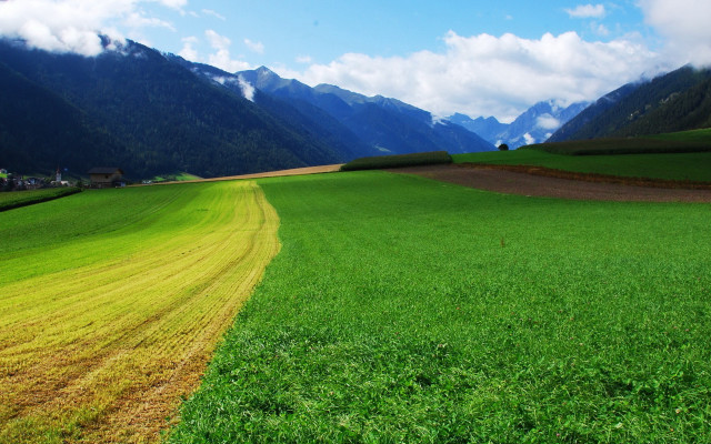 Green field yellow line mountains free wallpaper - medium preview image