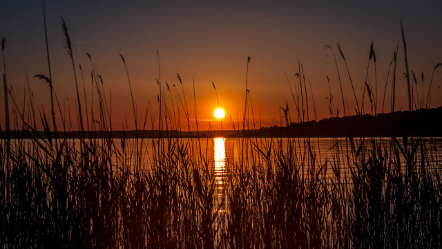 Sunset lake tallgrass island trees free wallpaper - medium preview image