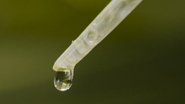 Water drop plastic tube green free wallpaper - medium preview image