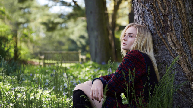 Woman sitting forest tree fence free wallpaper - medium preview image