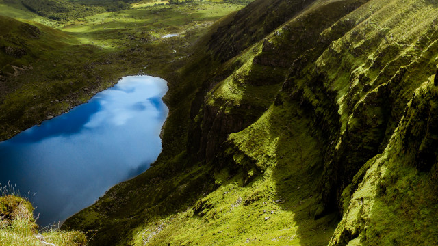 Lake green mountains flower field free wallpaper - medium preview image
