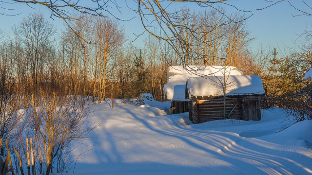 Snowy cabin forest bare trees free wallpaper - medium preview image