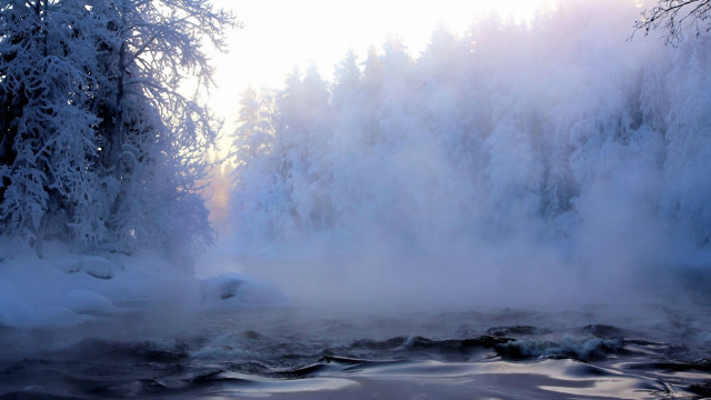 River mist snowy trees sun free wallpaper - medium preview image