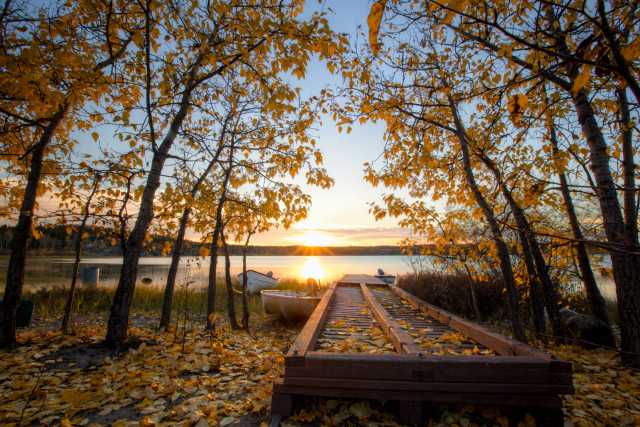 Boat dock forest autumn leaves free wallpaper - medium preview image