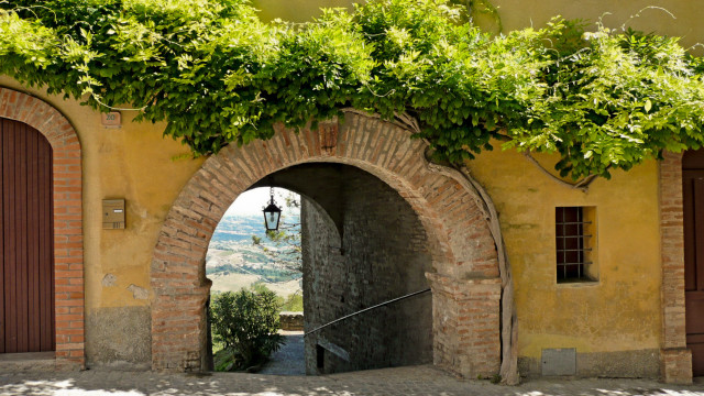 Doorway brickwall greenplant light fixture free wallpaper - medium preview image