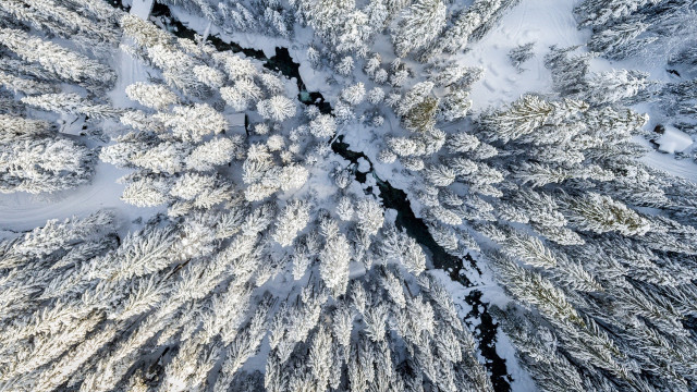 Snow covered forest river nature free wallpaper - medium preview image