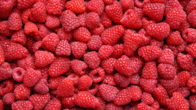 Raspberries macro photograph food flower free wallpaper - medium preview image