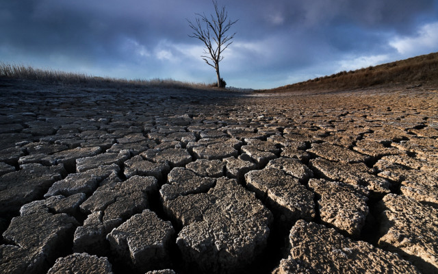 Barren tree cloudy sky landscape free wallpaper - medium preview image