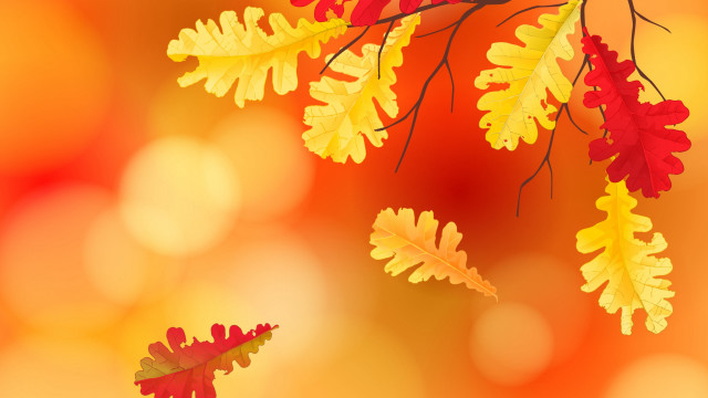 Autumn leaves blurry background campfire free wallpaper - medium preview image