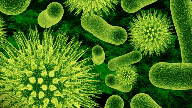 Green cell green stuff neoplasticism free wallpaper - medium preview image