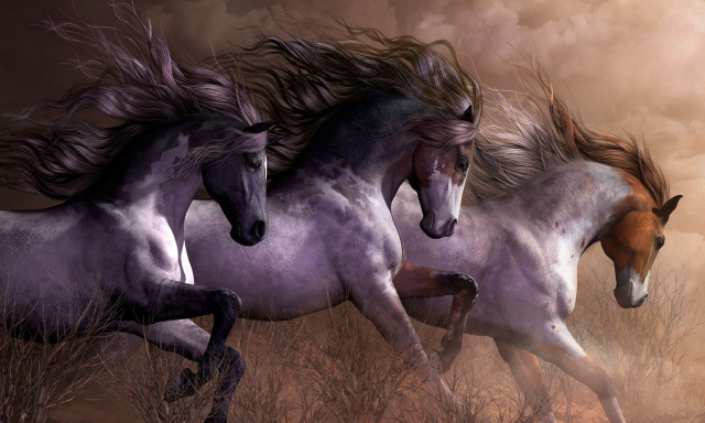 Horses running field sky clouds free wallpaper - medium preview image