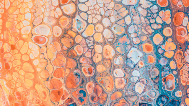 Colorful shapes wall generative microscopic free wallpaper - medium preview image