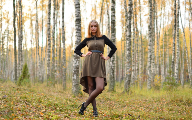 Woman dress forest autumn blonde free wallpaper - medium preview image