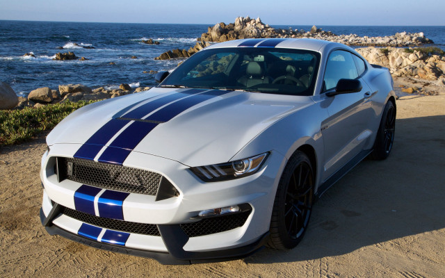 White blue mustang beach ocean free wallpaper - medium preview image