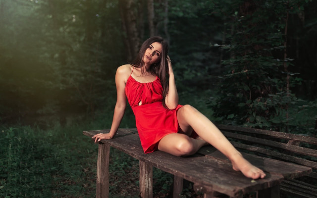Woman red dress forest sitting free wallpaper for desktop - medium preview image