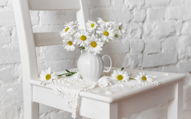 White vase daisies floral still free wallpaper - medium preview image