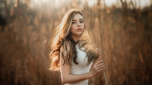 Woman white dress stillness sunbeam free wallpaper - medium preview image