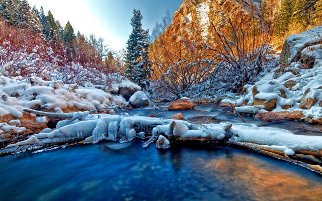Winter forest snow ice river free wallpaper - medium preview image