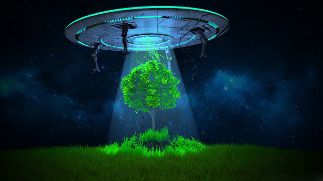 Green tree midfield ufo light free wallpaper - medium preview image