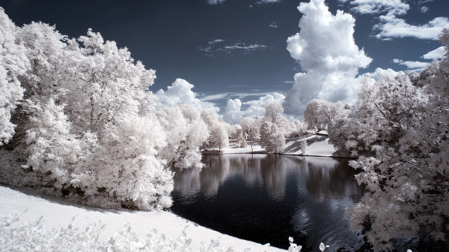 Lake trees snow clouds bridge free wallpaper - medium preview image