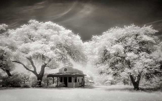 Black white house woods trees free wallpaper - medium preview image