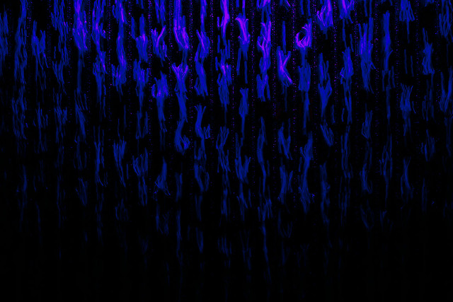 Black purple water droplets blue free wallpaper - medium preview image