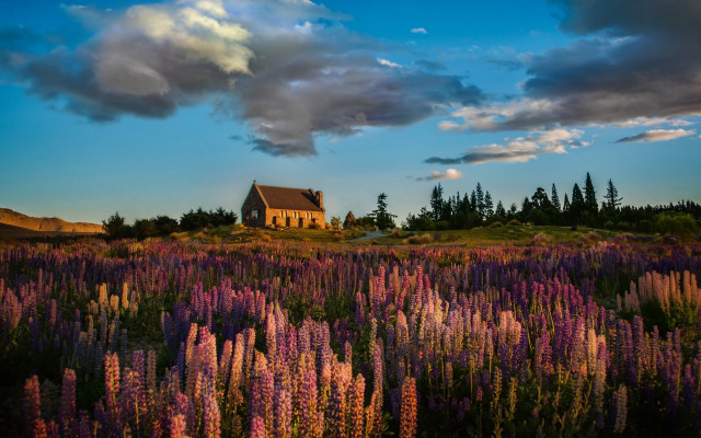 Flower field house clouds impressionist free wallpaper - medium preview image