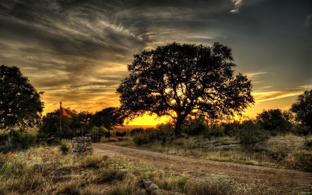 Dirt road sunset tree clouds #2 free wallpaper - medium preview image