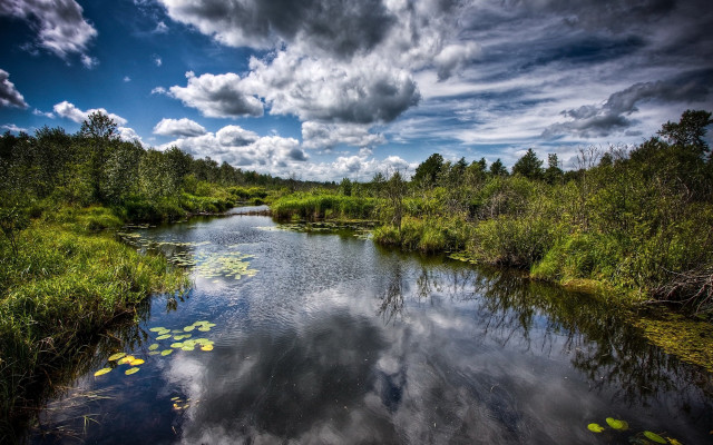 River lake forest nature sky free wallpaper - medium preview image