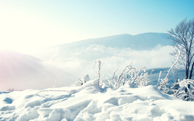 Skiing winter landscape mountains trees #2 free wallpaper - medium preview image