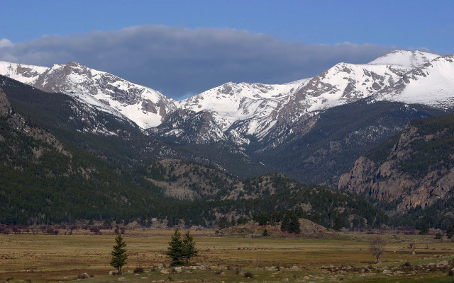 Mountain range snow trees grassy free wallpaper - medium preview image