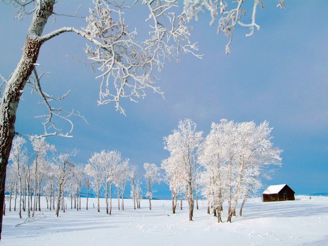 Snowy landscape cabin trees blue free wallpaper - medium preview image
