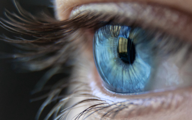 Blue eye iris building reflection free wallpaper - medium preview image