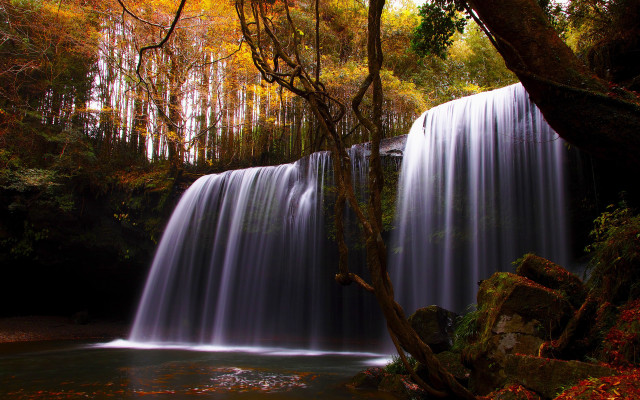 Waterfall tree stream fall foliage free wallpaper - medium preview image