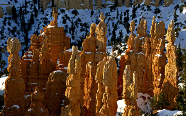 Tall rocks snow mountain forest free wallpaper - medium preview image