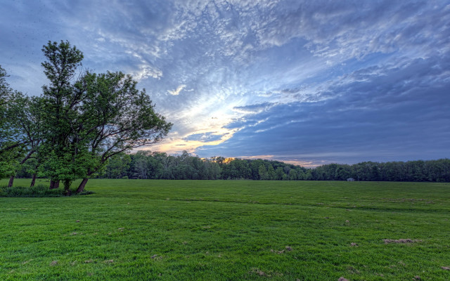 Field trees grass sunset cloudy free wallpaper - medium preview image